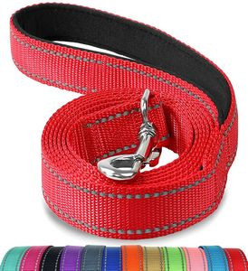Padded Handle Nylon Dog Leashes For Walking Small Dog