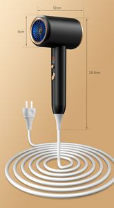 High Speed Electronic Hair Dryer