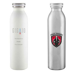 32oz Stainless Steel Vacuum Insulated Thermos Bottle w/ Lid, Handle
