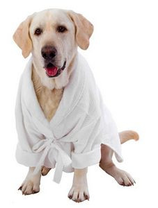 Large Dog Bathrobe