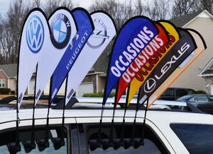 Car Wing Window Paddle Flag - Hardware + Single Reverse Print