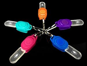 Mini Flashing LED Zipper Pull Light
