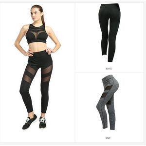 Legging (37"x 33.9"x 0.2")