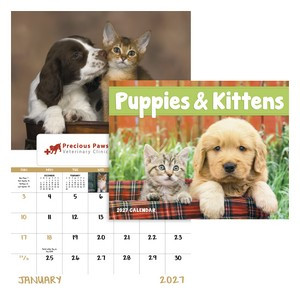 Puppies & Kittens - Window