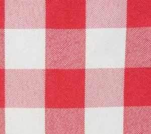 Checkerboard Picnic Napkins - Silk Screen Printed