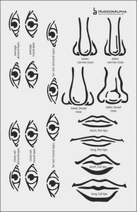 Print And Cut Stencil Template