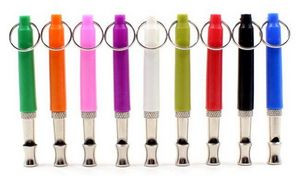 Pet Training Whistle Keychain