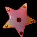 Star Flash Lapel Pin