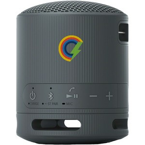 Sony SRS-XB100 Bluetooth Speaker