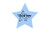 Blue Logo - 4" Econo Compressed Star Sponge