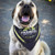 Various Logo - Custom Dog Bandanna