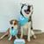 Various Logo - Custom Dog Bandanna