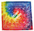 Traditional Full Color Promotional Bandana