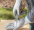 In Use - Cut Resistant Palm Dipped Gloves