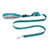 Teal - Cany Dog Leash