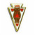 Gold Logo - 2" Custom Hard Enamel Lapel Pin