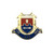 Gold Logo - 2" Custom Hard Enamel Lapel Pin
