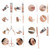 18 In 1 Manicure Sets With Beige Case