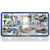 Embossed License Plate