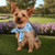 White Logo - Sublimated RPET Bandana