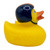Football Duck