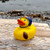 Football Duck