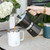 GROSCHE® MILANO 6 Cup Stovetop Moka Pot Espresso Coffee Maker
