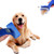 Pet Hair Brush