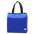 Insulated Hot / Cold Cooler Tote Bag