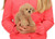 Golden Brown Blank Front - 6.5'' Custom Stuffed Animal