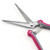Stainless Steel Garden Pruning Shear