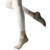 Yoga Socks Toeless