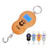 Digital Scale Portable Electronic Hanging Hook Luggage Scale
