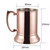 Double Wall Beer Stein Mug W/Handle
