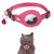 Cat Positioning Collar w/ Buckle