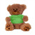 Additional Image - Plush Bear w/ Embroidered Paws and T-Shirt