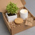 Live Succulent Plant And Candle Desktop Gift Set