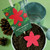 Holiday Flower Planting Stick