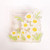 Square Acrylic Paper Photo Album Memo Clip Bag Binder Sealing Clip Food Bag Clamp-Two Sides Printing