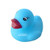 Logo Blue Mini Ducklings - Colorful Mini Ducklings