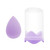 Purple Blank - Pegasi Makeup Sponge