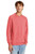 Red Frost Blank - District Perfect Tri Fleece Crewneck Sweatshirt