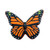 Butterfly Orange