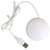 iButton Webkey