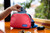 Glamour Shot - Fanny Pack Belt Bag