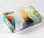Presentation Box Mailer (11" X 5.5" X 2") Custom Full Color W/ Glossy Finish
