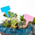 Various Blank Front View 1 - T-Type Plant Tags Labels