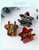 Mini Transparent Starry Bang Clip