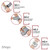 Electric Wrist Blood Pressure Monitor