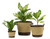Heritage Supply™ Plant, Grow and Store Trio of Pots - Dune